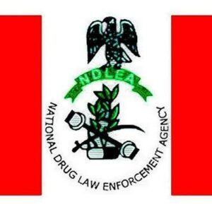 NDLEA intercepts cannabis disguised in dried onions at Lagos airport