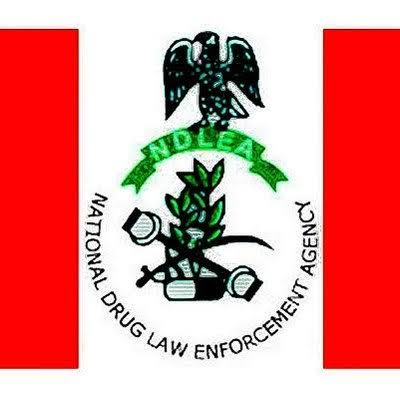 NDLEA intercepts cannabis disguised in dried onions at Lagos airport