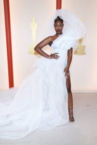 Oscar candidate Tems was chastised for her dress restricting people's view