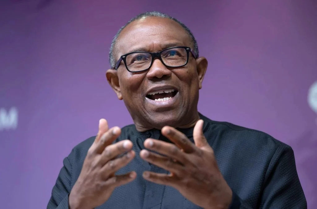 Peter-Obi-1024x678.jpg (2)
