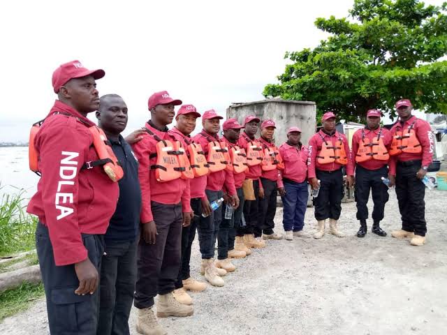 NDLEA captures 352 narcotics peddlers in Kano